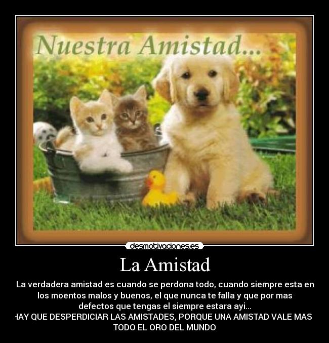 La Amistad - La verdadera amistad es cuando se perdona todo, cuando siempre esta en
los moentos malos y buenos, el que nunca te falla y que por mas
defectos que tengas el siempre estara ayi...
NO HAY QUE DESPERDICIAR LAS AMISTADES, PORQUE UNA AMISTAD VALE MAS QUE
TODO EL ORO DEL MUNDO