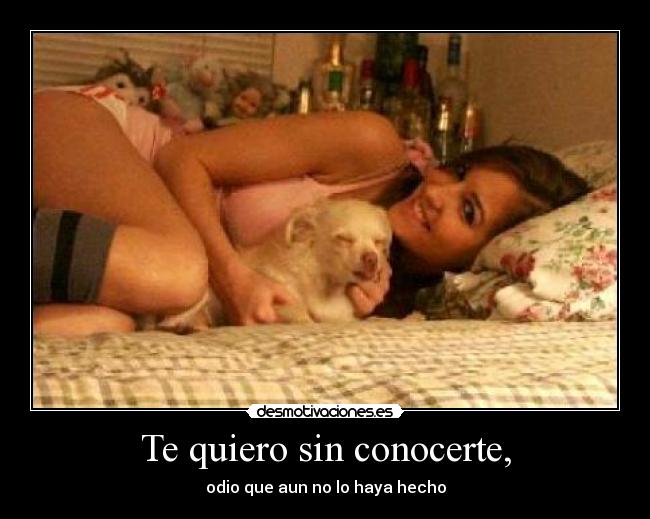 Te quiero sin conocerte, -