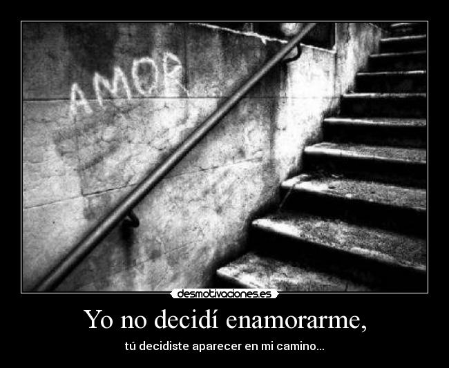 Yo no decidí enamorarme, - tú decidiste aparecer en mi camino...