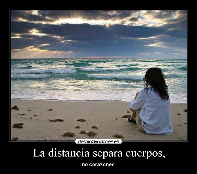 carteles distancia amor desmotivaciones