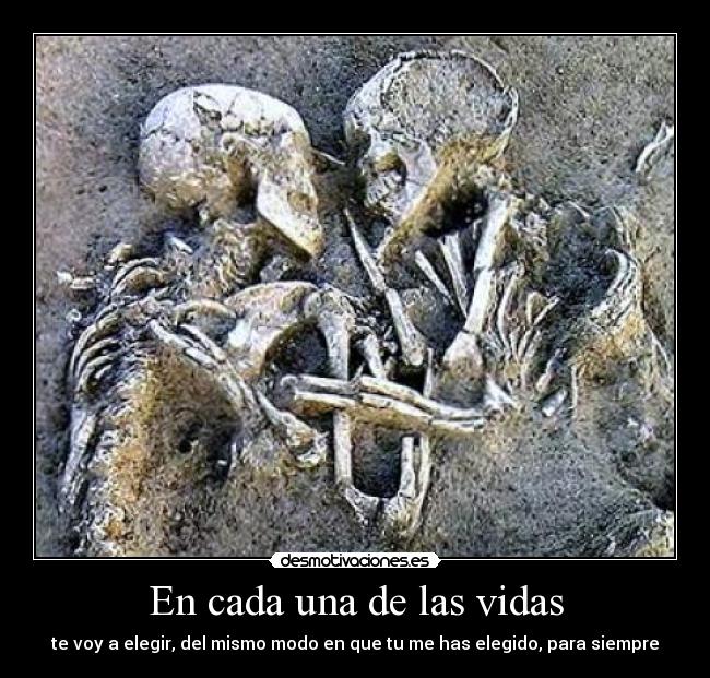 En cada una de las vidas - te voy a elegir, del mismo modo en que tu me has elegido, para siempre