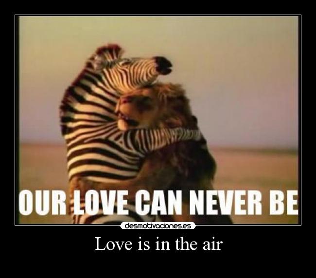Love is in the air -