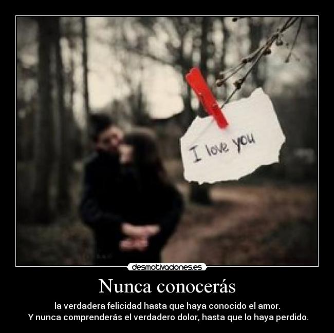 Nunca conocerás - 