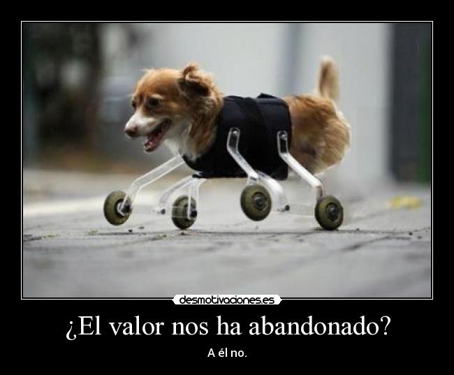 ¿El valor nos ha abandonado? -