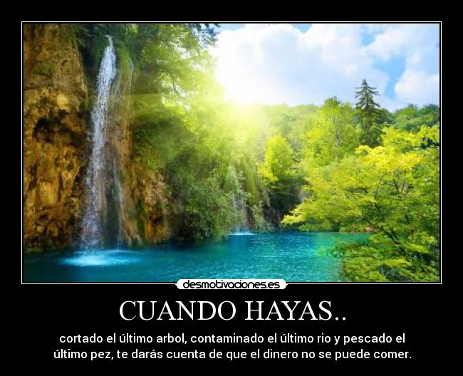 CUANDO HAYAS.. - 