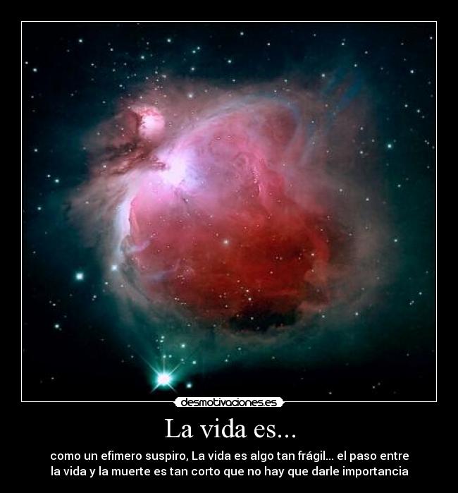 La vida es... - como un efimero suspiro, La vida es algo tan frágil... el paso entre
la vida y la muerte es tan corto que no hay que darle importancia