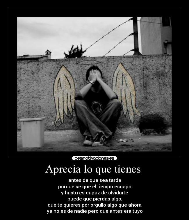 Aprecia lo que tienes | Desmotivaciones