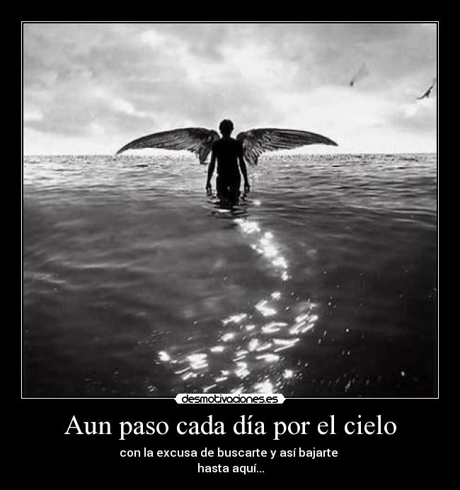 carteles aun paso cada dia por cielo con excusa buscarte asi bajarte hasta aqui desmotivaciones