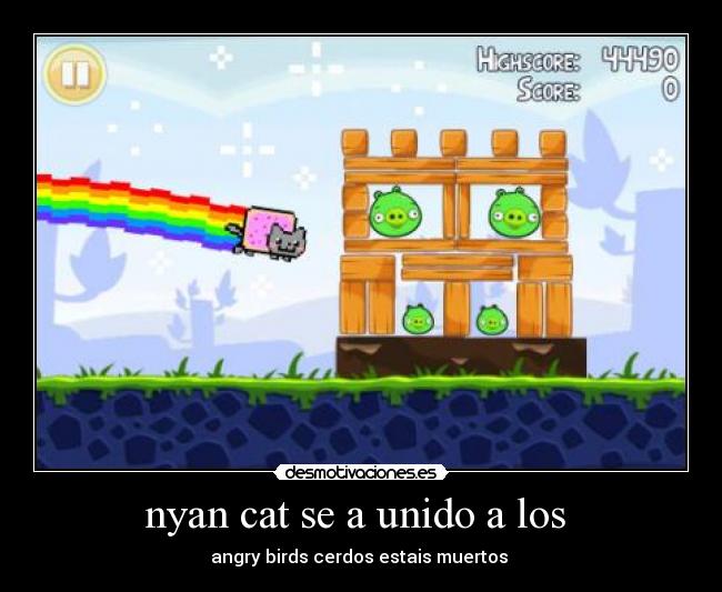 nyan cat se a unido a los  - angry birds cerdos estais muertos 