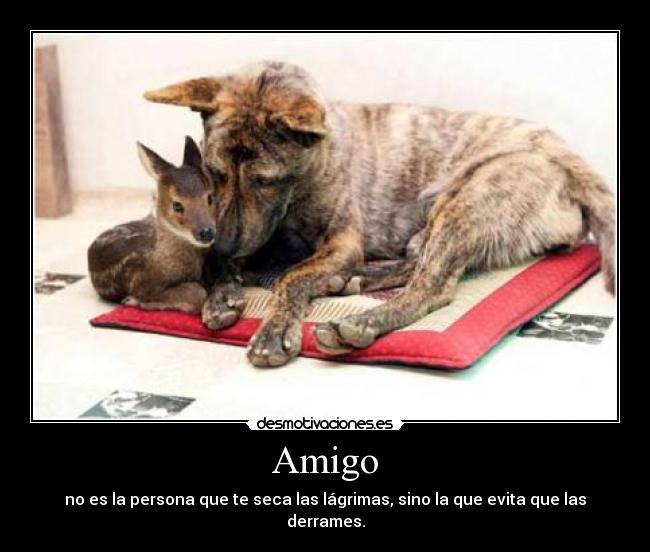 Amigo - no es la persona que te seca las lágrimas, sino la que evita que las derrames.