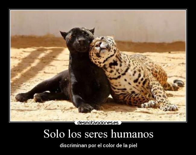 Solo los seres humanos - discriminan por el color de la piel