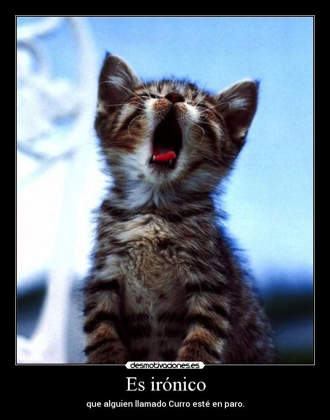 Es irónico - que alguien llamado Curro esté en paro.