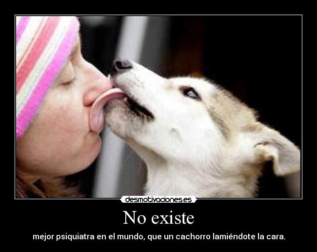 No existe - mejor psiquiatra en el mundo, que un cachorro lamiéndote la cara.