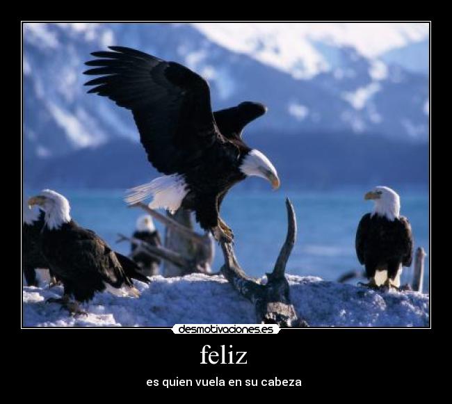 feliz  - 