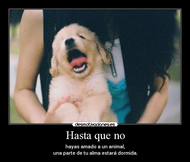 Hasta que no - hayas amado a un animal,
una parte de tu alma estará dormida.