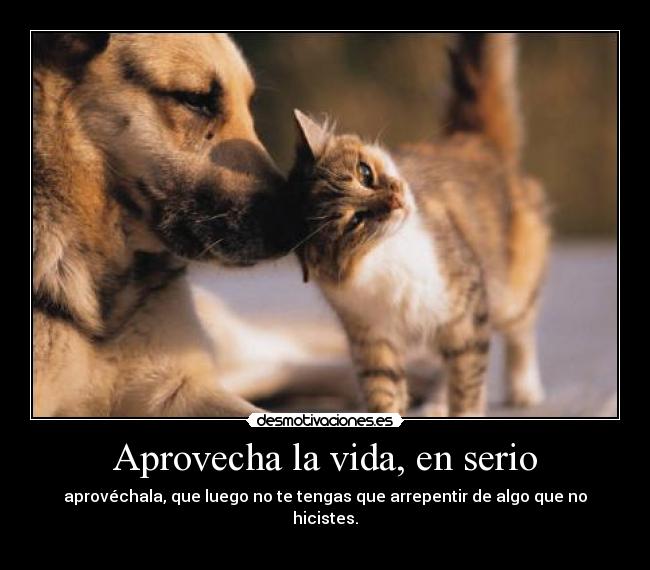 Aprovecha la vida, en serio - aprovéchala, que luego no te tengas que arrepentir de algo que no hicistes.