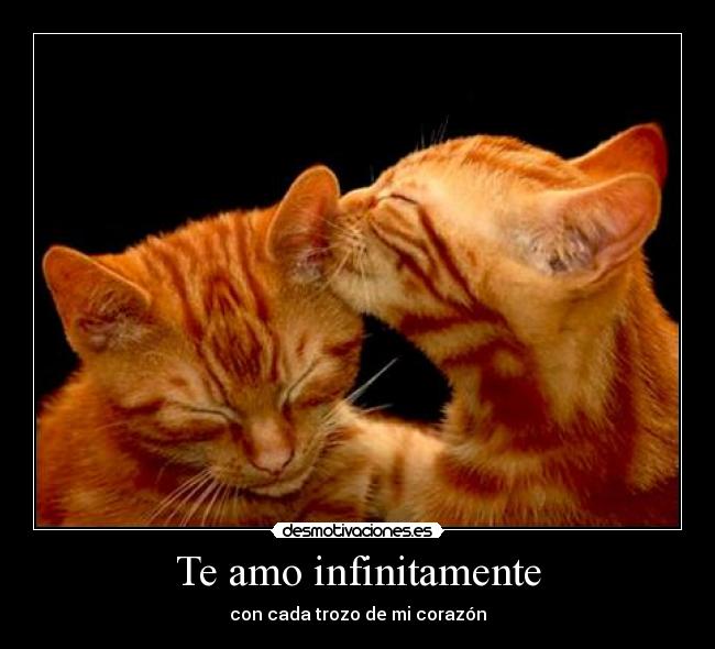 Te amo infinitamente Desmotivaciones