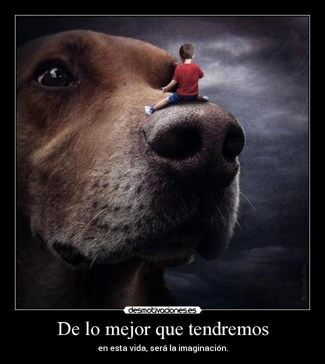 carteles bulma272 amo esta imagen desmotivaciones