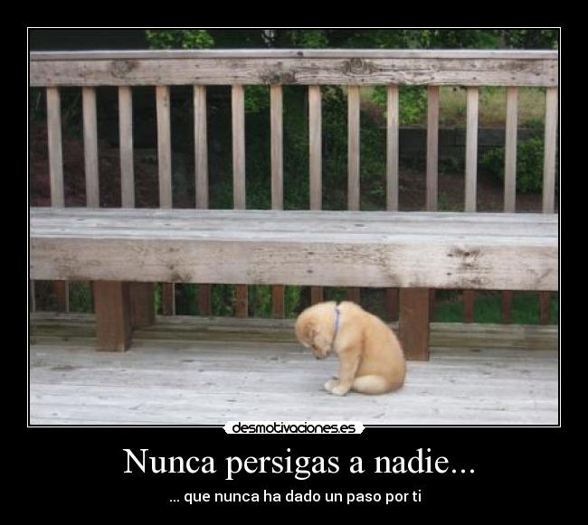  Nunca persigas a nadie... - 