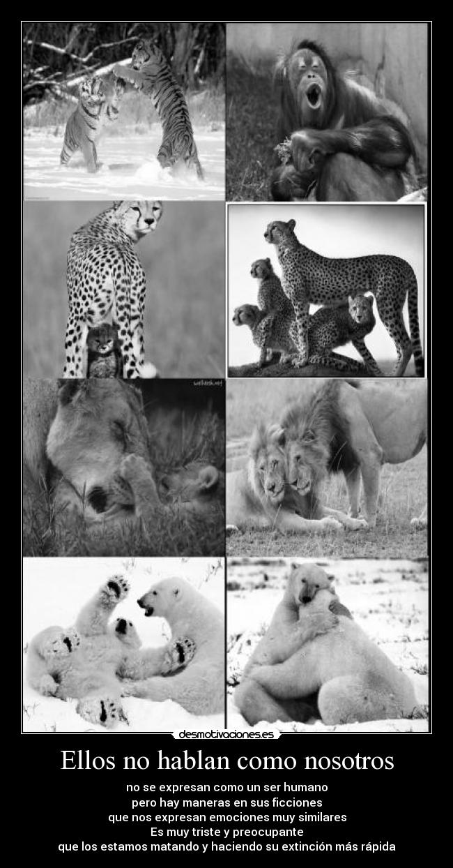 Ellos no hablan como nosotros - 