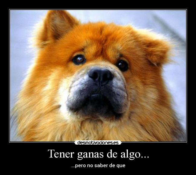 Tener ganas de algo... - ...pero no saber de que