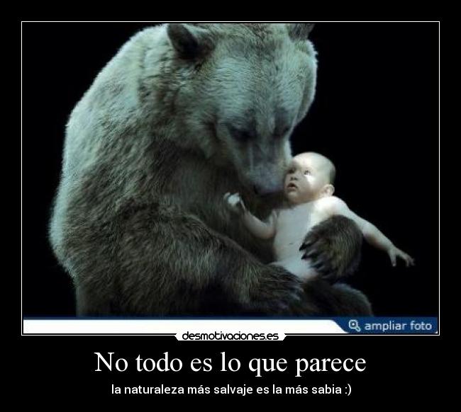 carteles naturaleza desmotivaciones