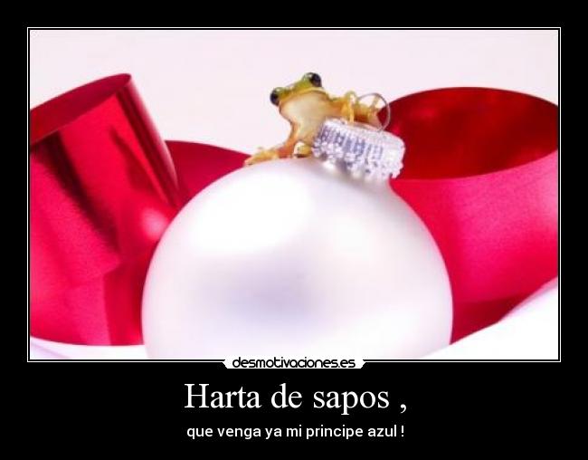 Harta de sapos , - que venga ya mi principe azul !