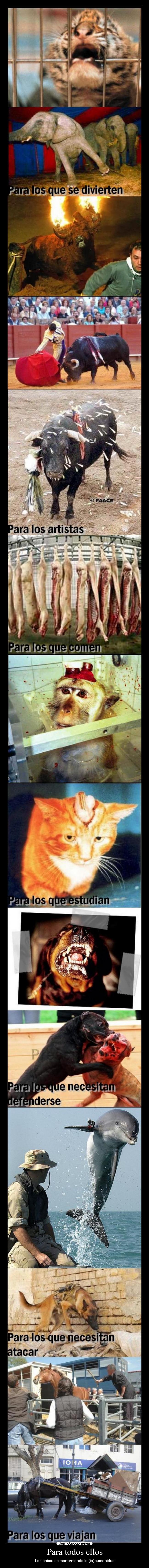 Para todos ellos - Los animales manteniendo la (in)humanidad