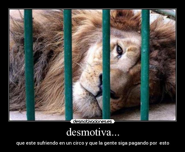 desmotiva... -