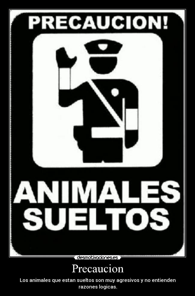 Precaucion - Los animales que estan sueltos son muy agresivos y no entienden razones logicas.