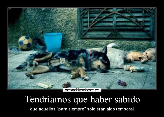 Tendríamos que haber sabido - que aquellos para siempre solo eran algo temporal.