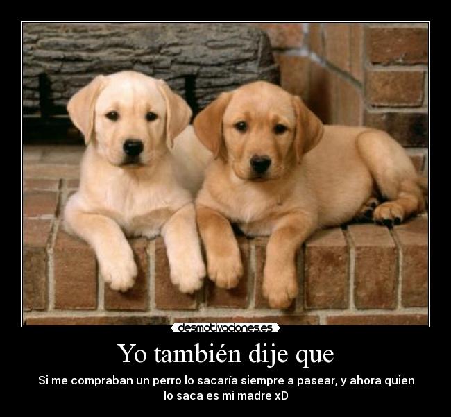 Yo también dije que - 