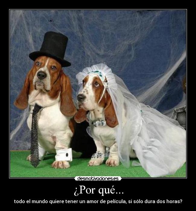 ¿Por qué... - todo el mundo quiere tener un amor de película, si sólo dura dos horas?