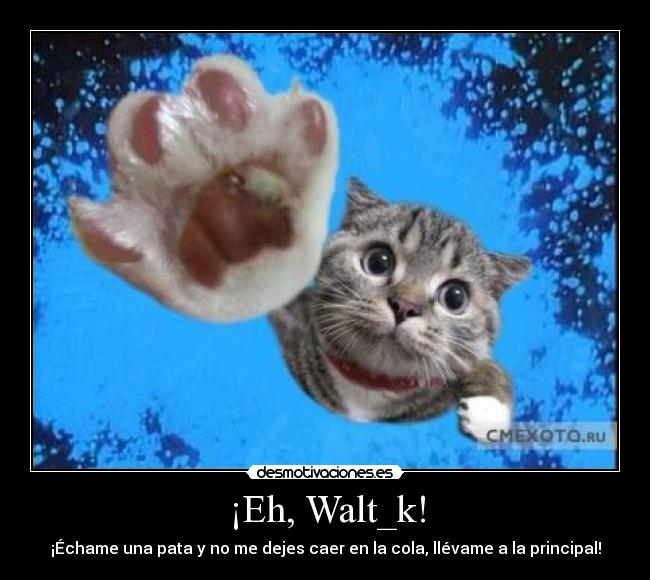 ¡Eh, Walt_k! -