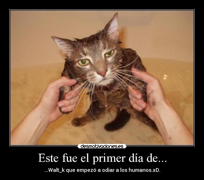 Este fue el primer día de... - 
