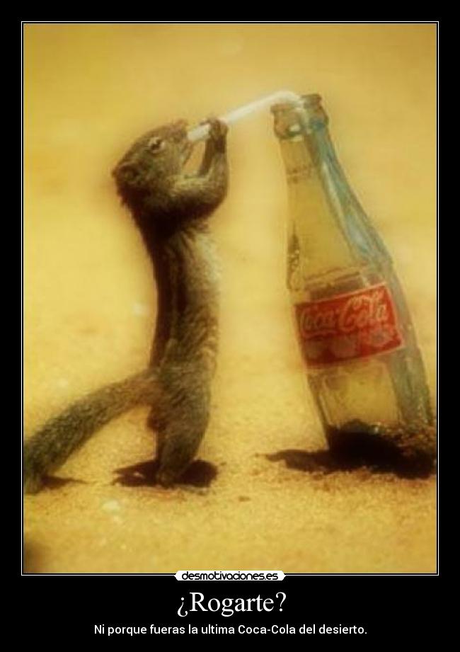 ¿Rogarte? - Ni porque fueras la ultima Coca-Cola del desierto.