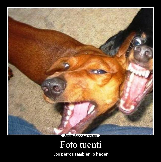 Foto tuenti - Los perros también lo hacen