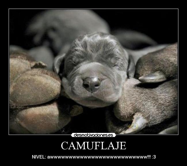 CAMUFLAJE - NIVEL: awwwwwwwwwwwwwwwwwwwwwwwwww!!! :3
