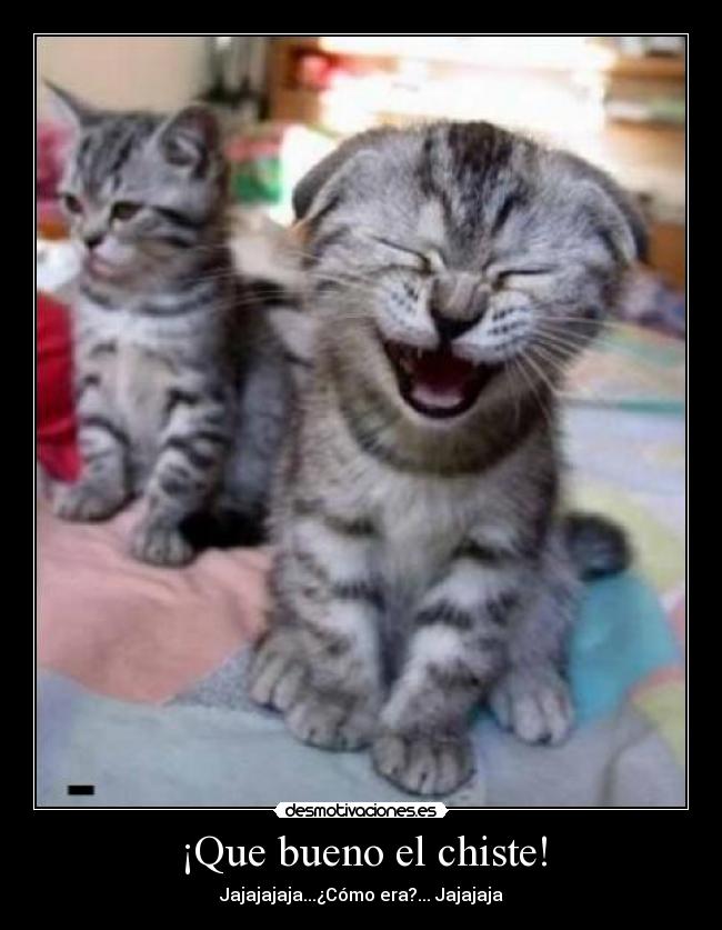 ¡Que bueno el chiste! - 