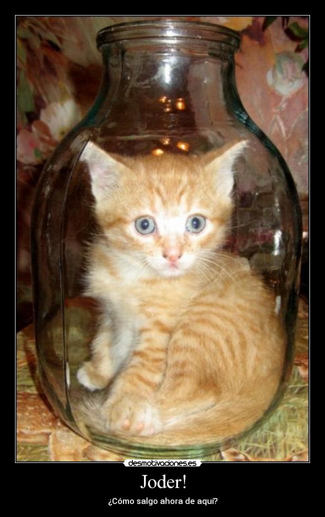 carteles desmotivaciones