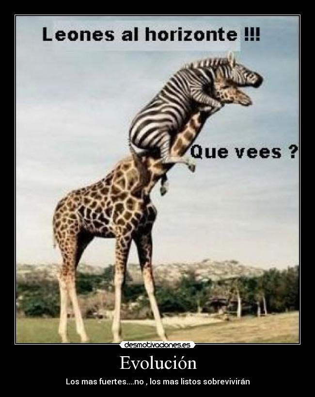 Evolución - Los mas fuertes....no , los mas listos sobrevivirán
