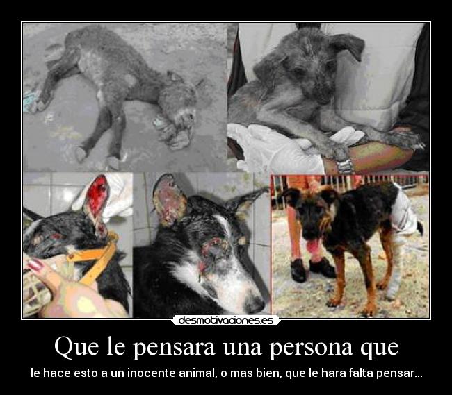 Que le pensara una persona que -