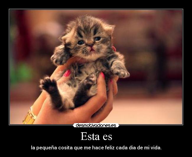 Esta es - la pequeña cosita que me hace feliz cada dia de mi vida.