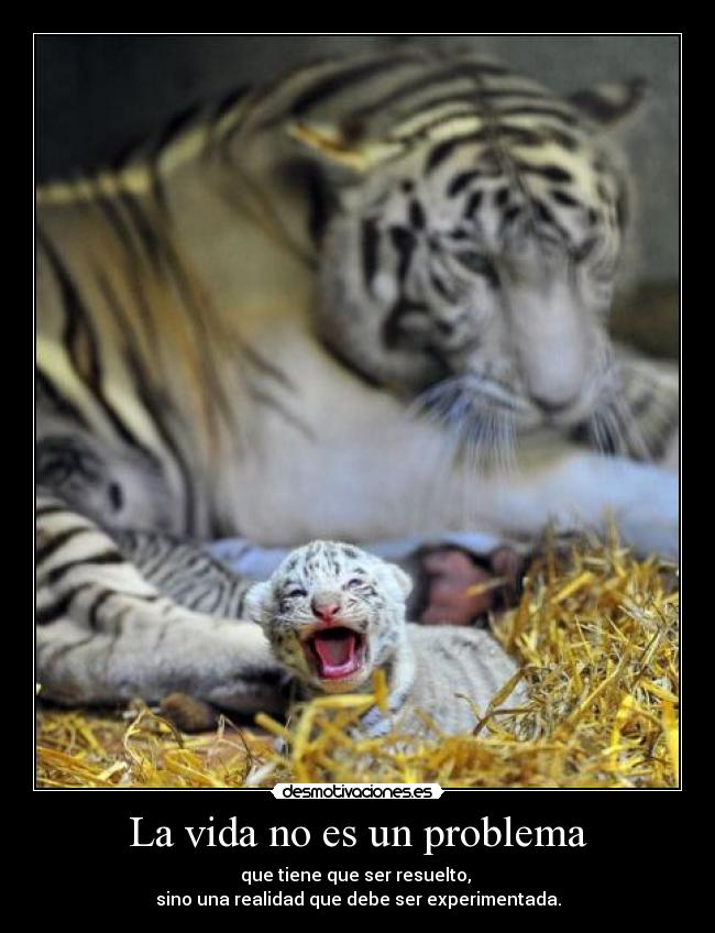 carteles vida vida sascha1991 desmotivaciones lacola20 clanvirus desmotivaciones