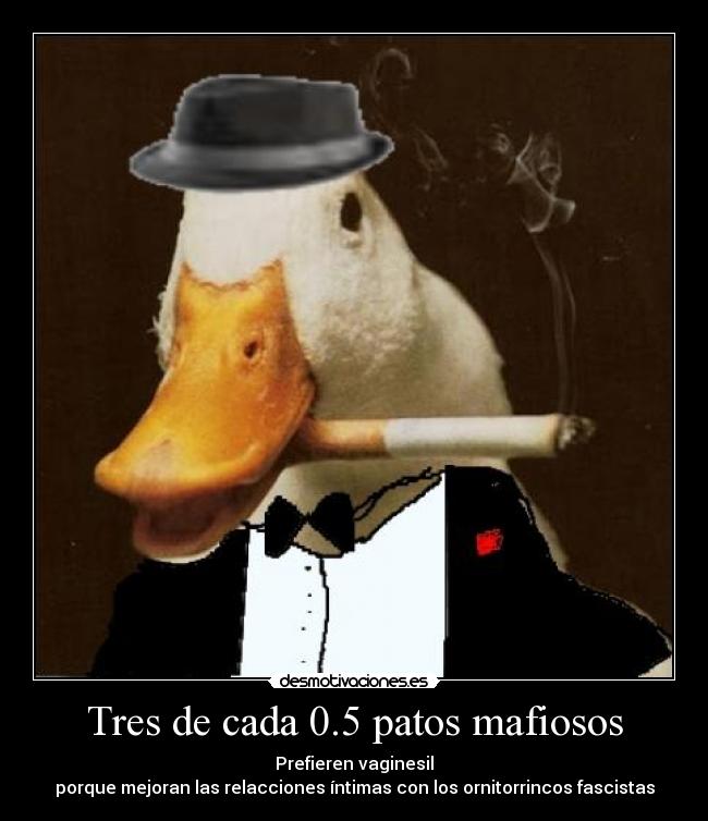 Tres de cada 0.5 patos mafiosos - 