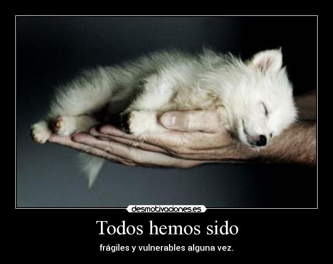 carteles lobitou desmotivaciones