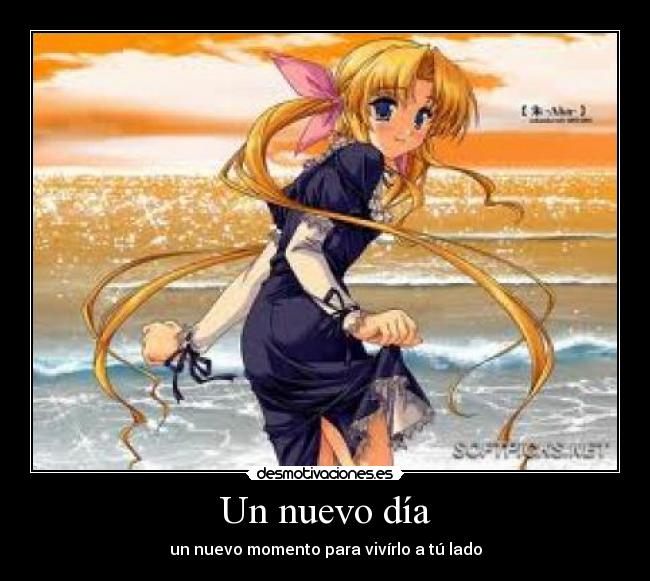 carteles amo desmotivaciones