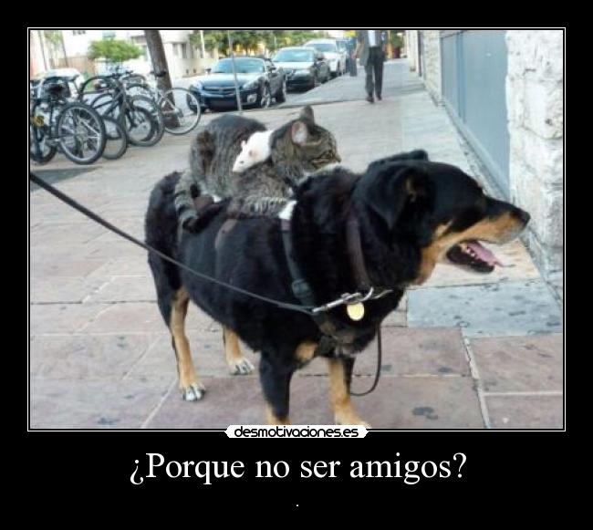 ¿Porque no ser amigos? -