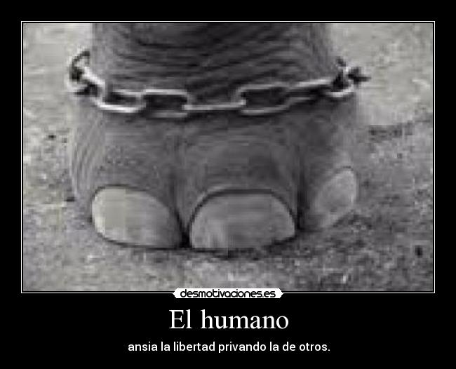 El humano - ansia la libertad privando la de otros.