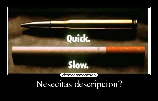 Nesecitas descripcion? - 